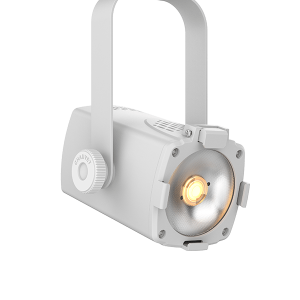 Chauvet DJ Eve TF-20X Soft Edge Accent Luminaire - White