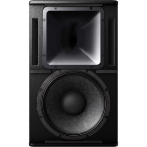 Pioneer Pro Audio XY-122 Two-Way Full-Range Loudspeaker - 12" - Image 2