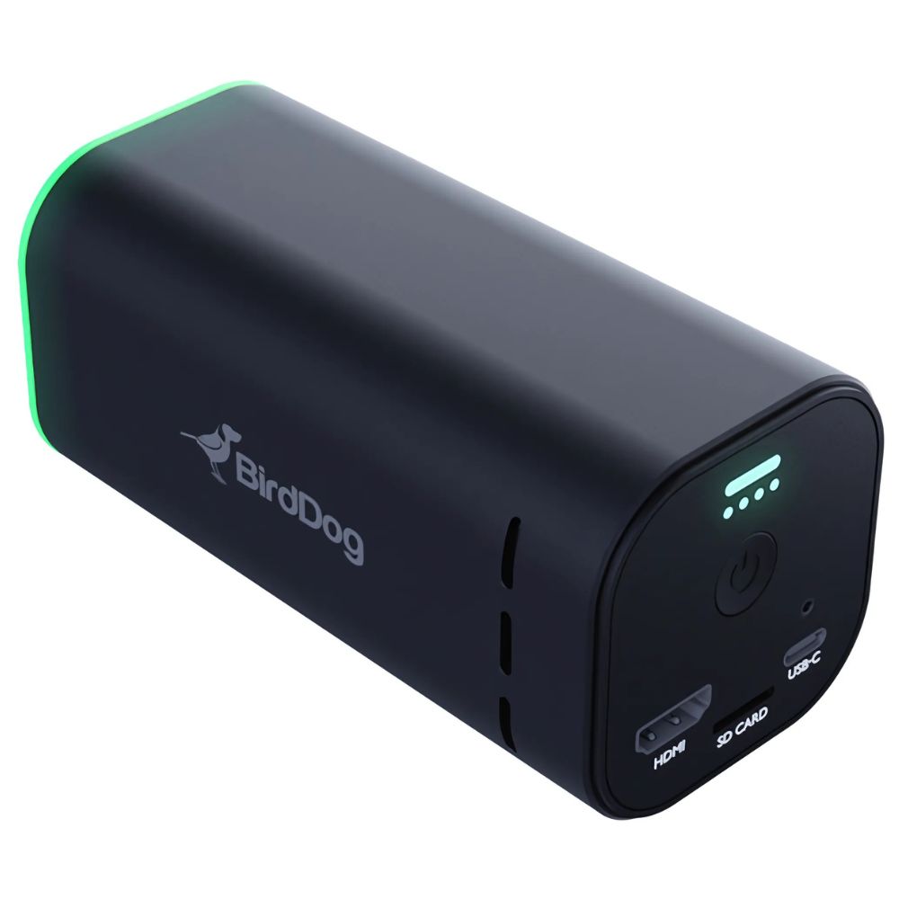 Rear panel close-up of BirdDog MKLB