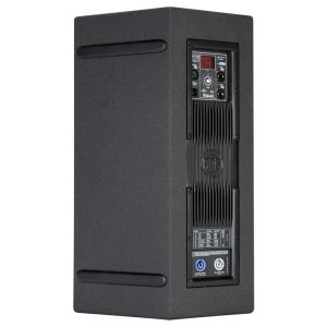 Back view RCF TT 22-A II 12"