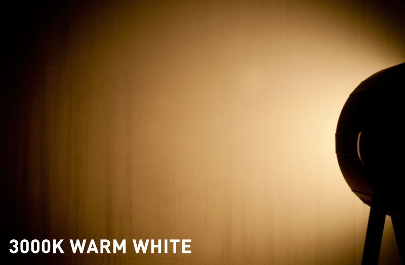 Warm White of the ADJ COB-CANNON-WASH Dim to warm